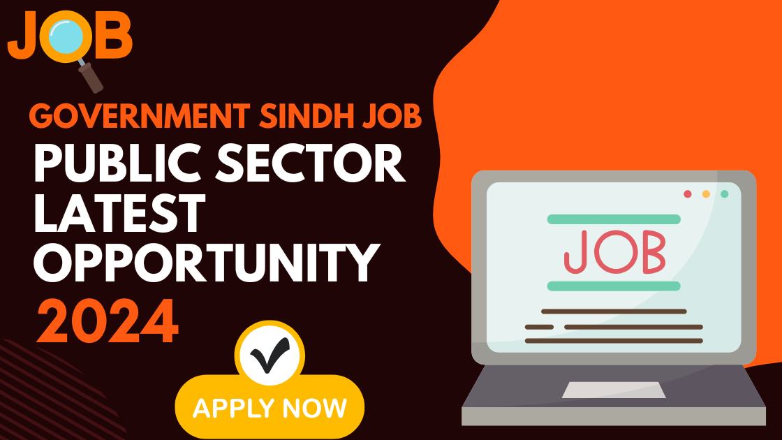 Government Sindh Job